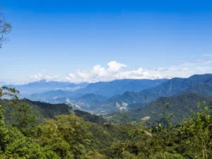 ecoturismo4d