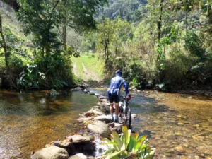 pedal1